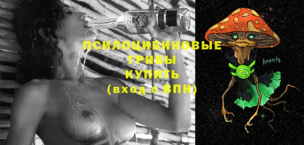 бутират Горнозаводск