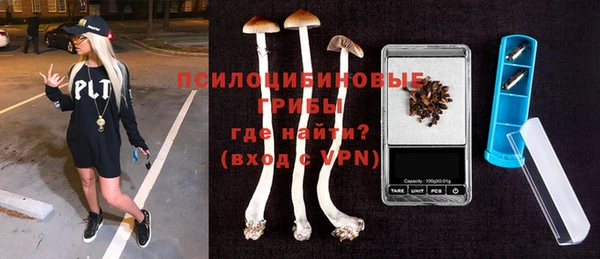 бутират Горнозаводск