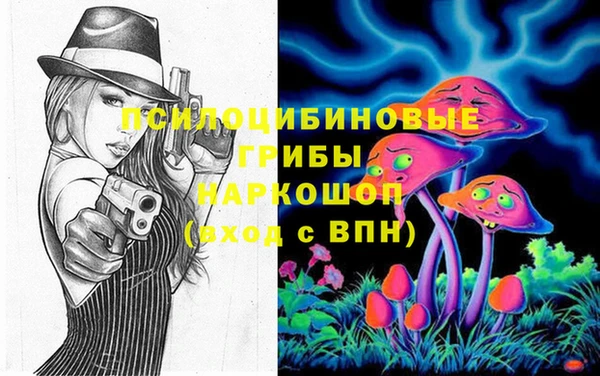 не бодяженный Горно-Алтайск