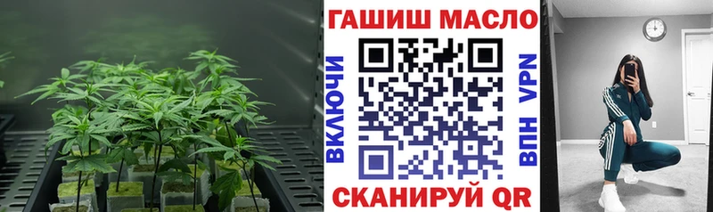 omg ONION  Яхрома  darknet телеграм  ТГК вейп 