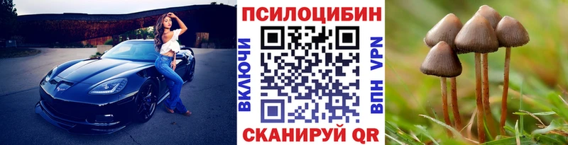 Псилоцибиновые грибы мухоморы  закладки  Яхрома 
